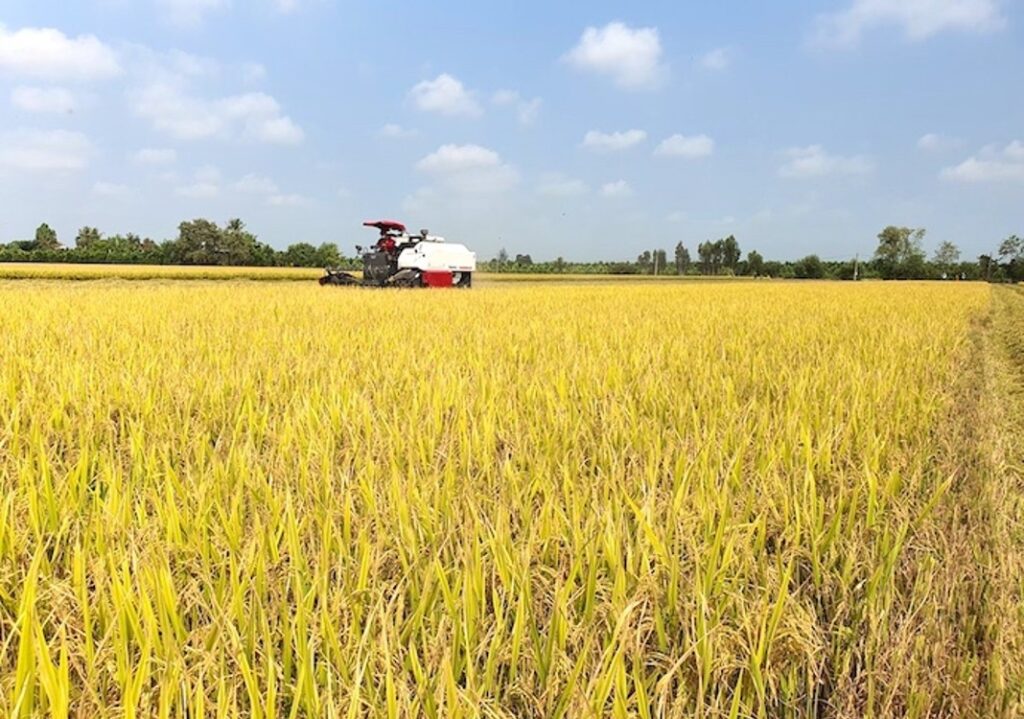 Tìm hiểu 6 mô hình nông nghiệp xanh phổ biến canh dong mau lon DRONE1 Forum Cánh tác lúa nước trên cánh đồng mẫu lớn