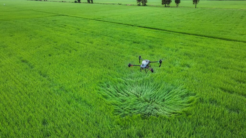 Máy bay xịt lúa giá bao nhiêu? Có nên đầu tư không? loi ich cua may bay xit lua DRONE1 Forum drone xịt lúa mang lại rất nhiều lợi ích tuyệt vời so với phương pháp truyền thống khác
