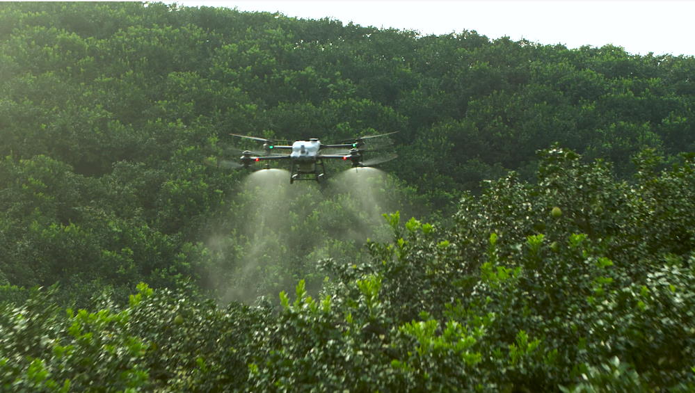 8 Lợi ích khi phun thuốc bằng máy bay không người lái may bay phun thuoc dang phun thuoc tren vuon cay an qua DRONE1 Forum máy bay phun thuốc có hiệu suất phun thuốc cao hơn nhiều so với phun thuốc thủ công