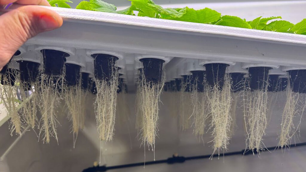 Tìm hiểu 6 mô hình nông nghiệp xanh phổ biến mo hinh nong nghiep khi canh Aeroponics DRONE1 Forum Trồng rau sạch với mô hình khí canh Aeroponics hiện đại