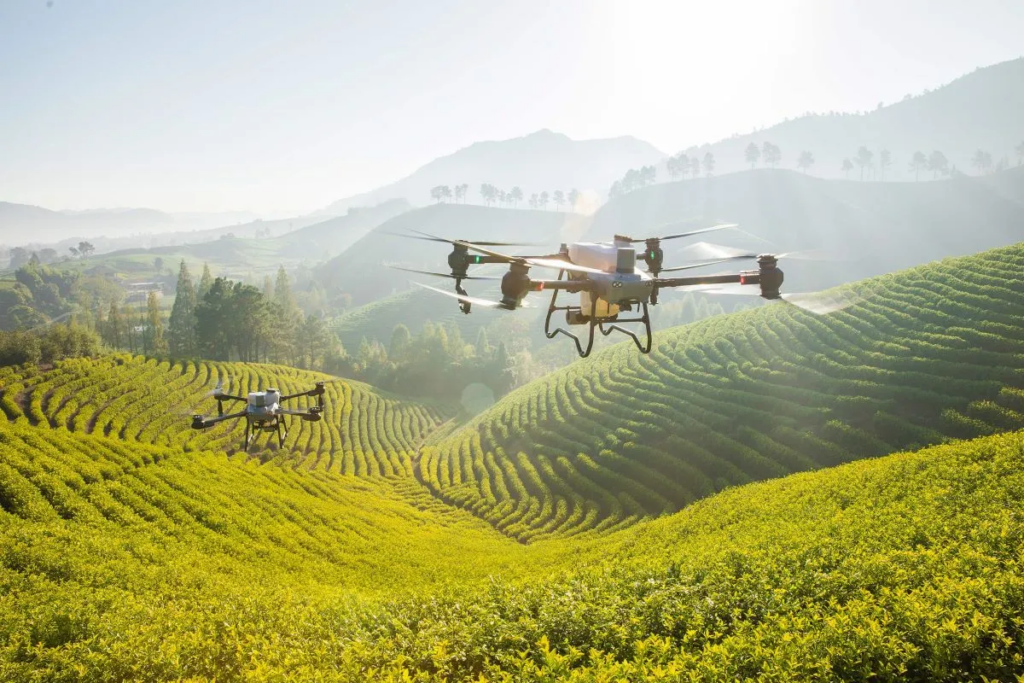 Có nên đầu tư máy bay phun thuốc trừ sâu không? mua may bay phun thuoc de phun cho vuon cay an qua DRONE1 Forum Có nên đầu tư máy bay phun thuốc trừ sâu để tự phun cho vườn cây nhà mình?