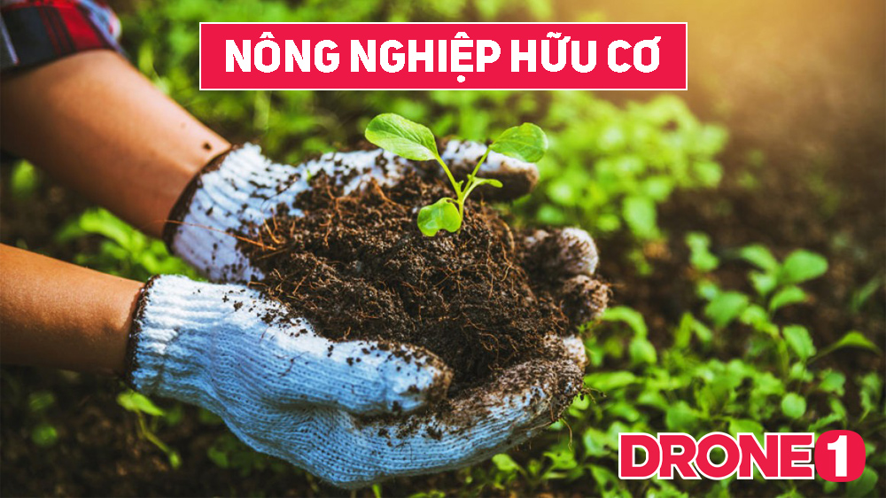 Nông nghiệp hữu cơ là gì? Lợi ích và thách thức nong nghiep huu co la gi DRONE1 Forum Khái niệm nông nghiệp hữu cơ