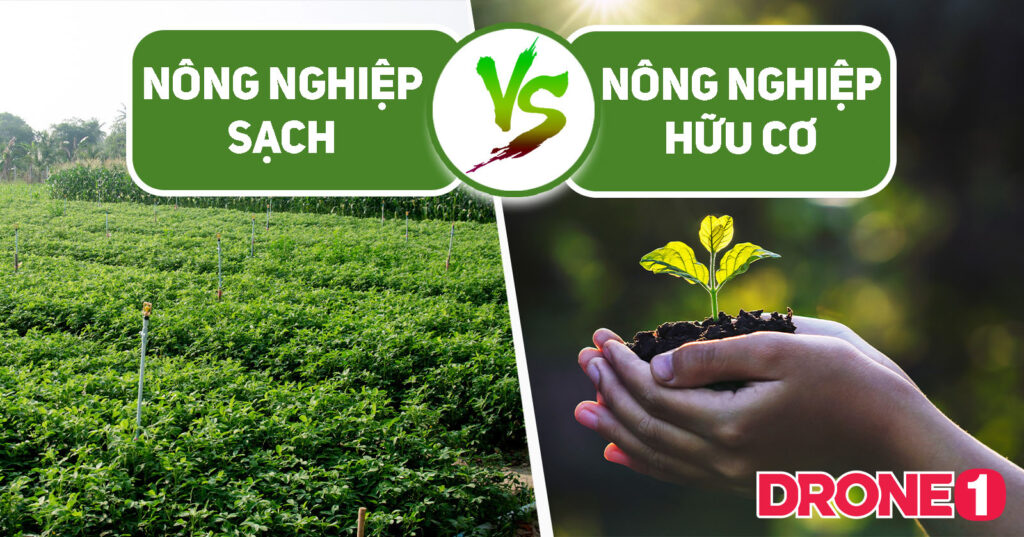 Nông nghiệp sạch và nông nghiệp hữu cơ khác gì nhau? nong nghiep huu co va nong nghiep sach 1 DRONE1 Forum Nông nghiệp hữu cơ và nông nghiệp sạch có giống nhau không?