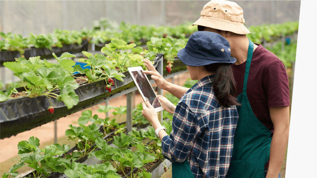 Nông nghiệp sạch: Định nghĩa, lợi ích và thách thức nong nghiep sach an toan cho suc khoe DRONE1 Forum Làm nông nghiệp sạch công nghệ cao