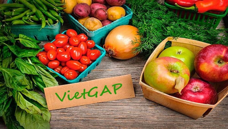 Nông nghiệp sạch: Định nghĩa, lợi ích và thách thức san xuat nong nghiep sach theo mo hinh vietgap DRONE1 Forum Mô hình nông nghiệp sạch Vietgap
